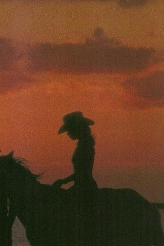 Inspiration Board for the Cowpoke Collection