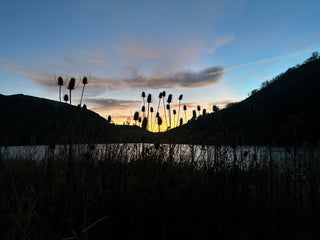 Taking a Break to Reevaluate my Business