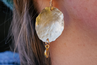 November Birthstone Earrings 1