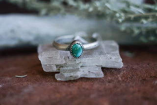 Turquoise Ring (Size 10)