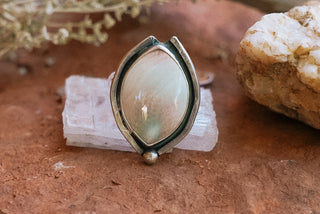 Shiva Shell Ring (Size 7.5)