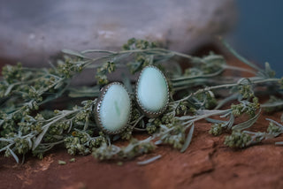 Palomino Turquoise Alpine Studs