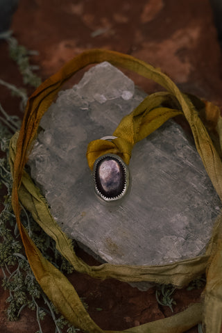 Dusk Wilderness Talisman