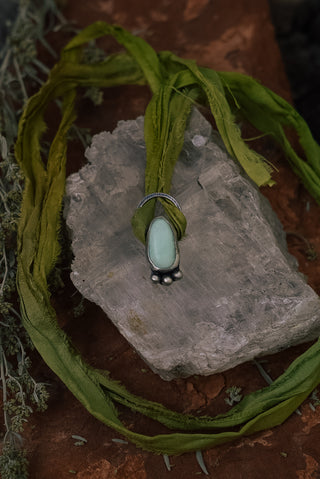 Lush Ferns Wilderness Talisman